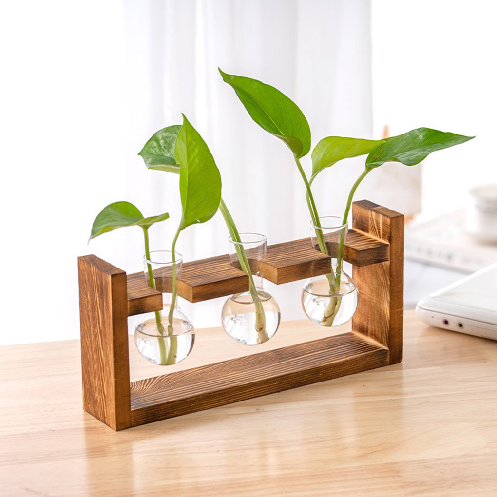 Vases Home Office Hydroponic P - Propagation Station Vase review and price