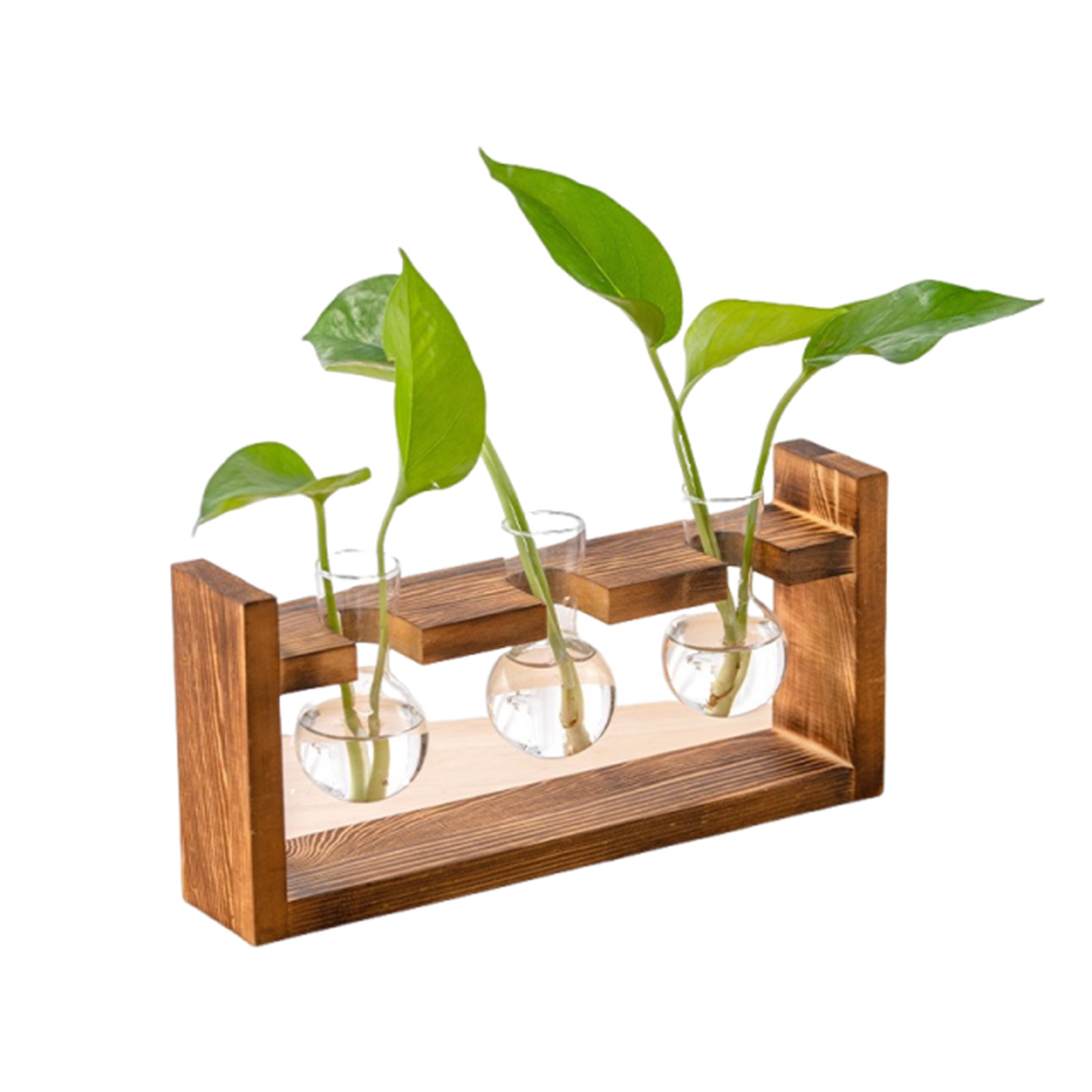 Vases Home Office Hydroponic P - Propagation Station Vase review and price