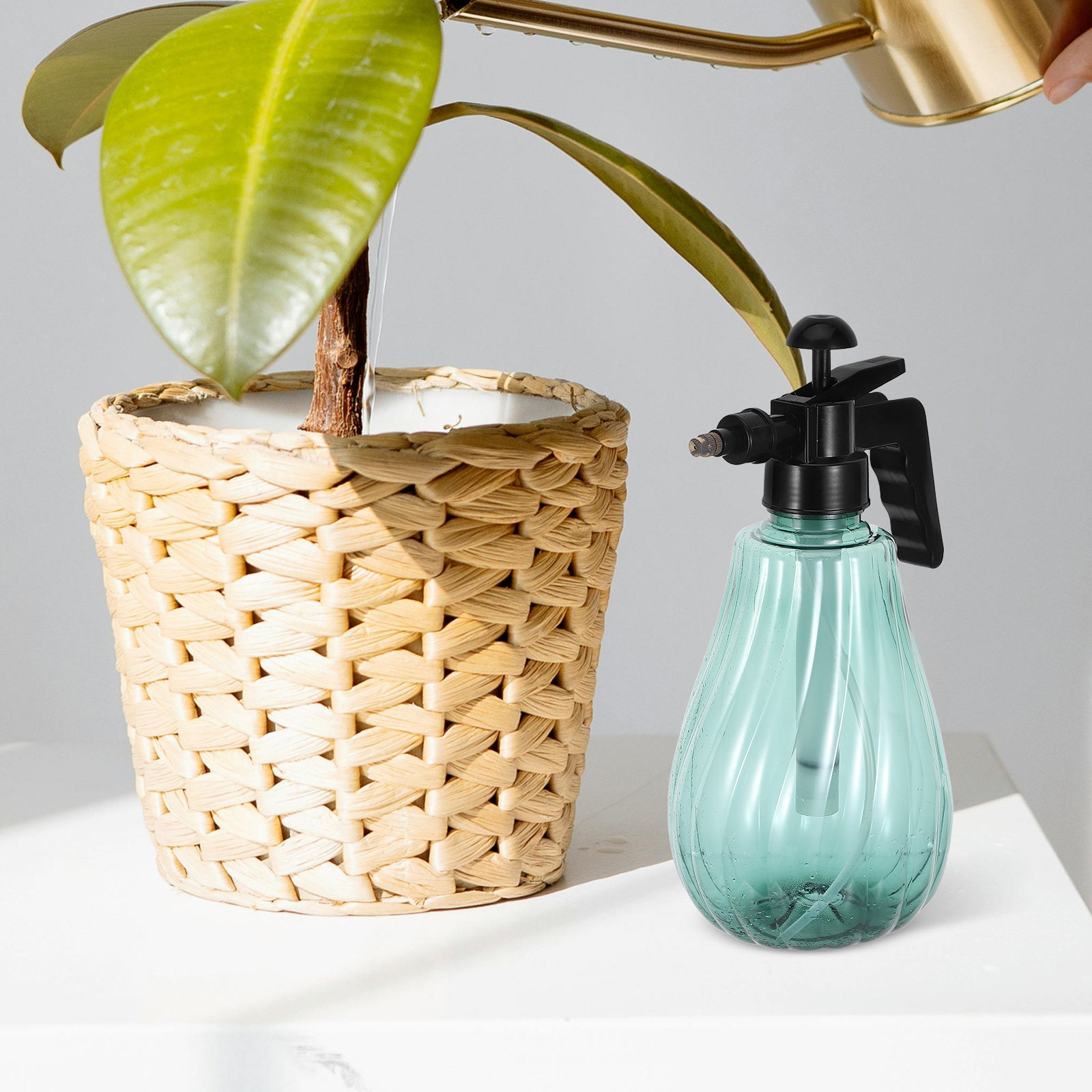 Handheld Pet Bath Sprayer Gree - Misting Bottle Fine review and price