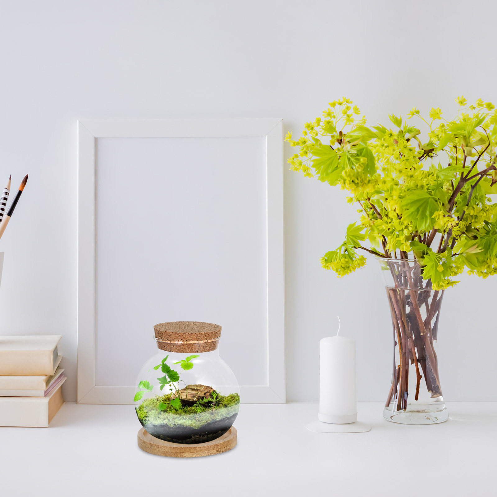2Set Hydroponic Glass Elegant  - Propagation Station Vase review and price